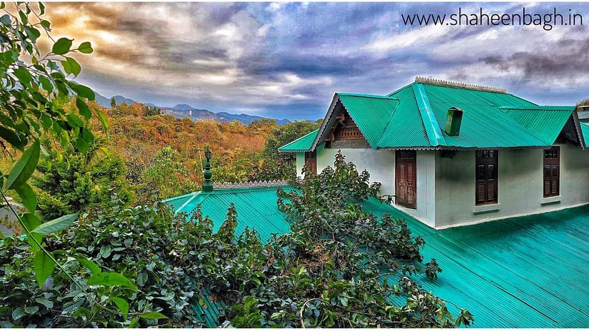 A cozy cottage with a green roof and a scenic view.